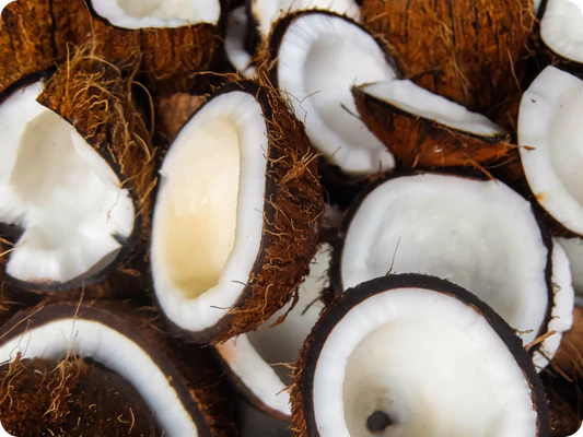 Organic MCT coconut oil