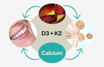 Optimizing Health: The Dynamic Duo of Vitamins D3 and K2