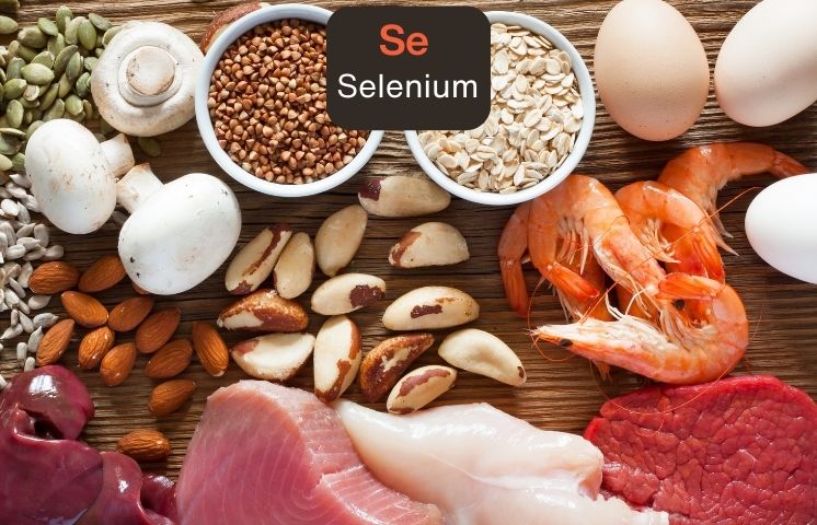 Selenium and its importance for the human organism