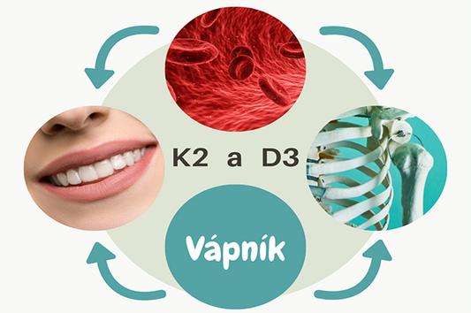 Synergy between vitamin K2 and D3