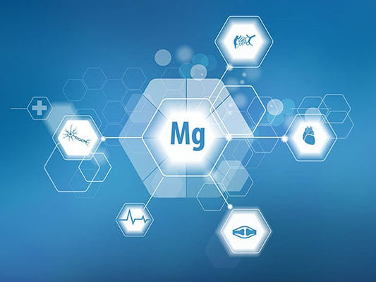 Magnesium and its function in the human body