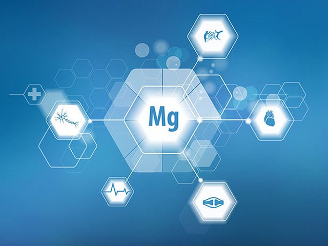 Magnesium and its function in the human body