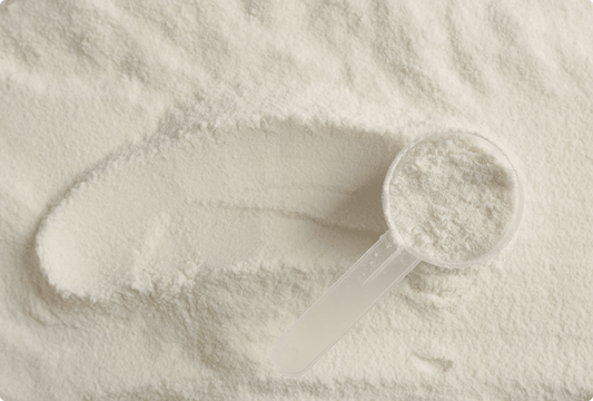 The role of collagen in the human body