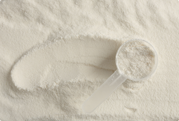 The role of collagen in the human body