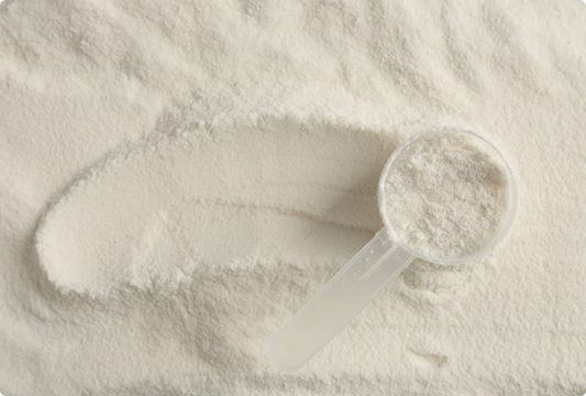 The role of collagen in the human body