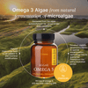 Omega 3 Algae