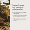 Omega 3 Algae
